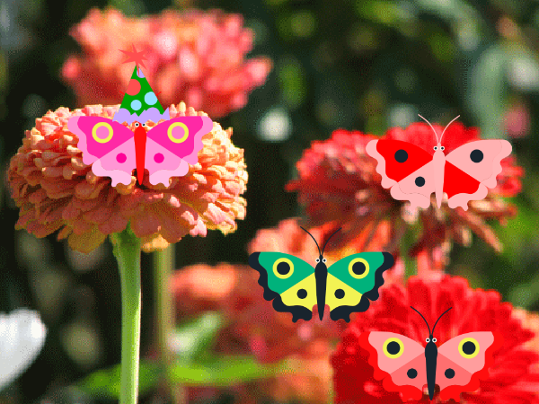 butterfly birthday